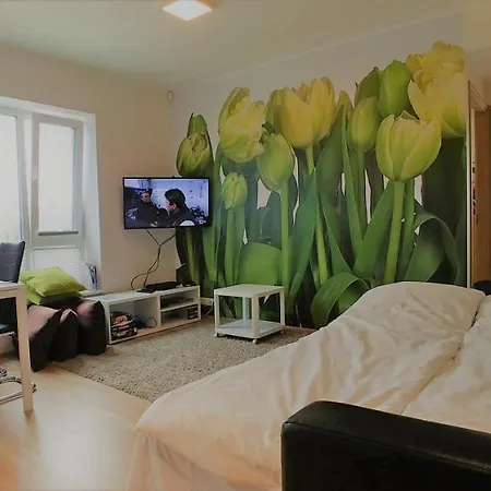 Scandian - Park Apartmán *